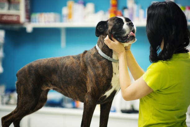 Pet Care Center
